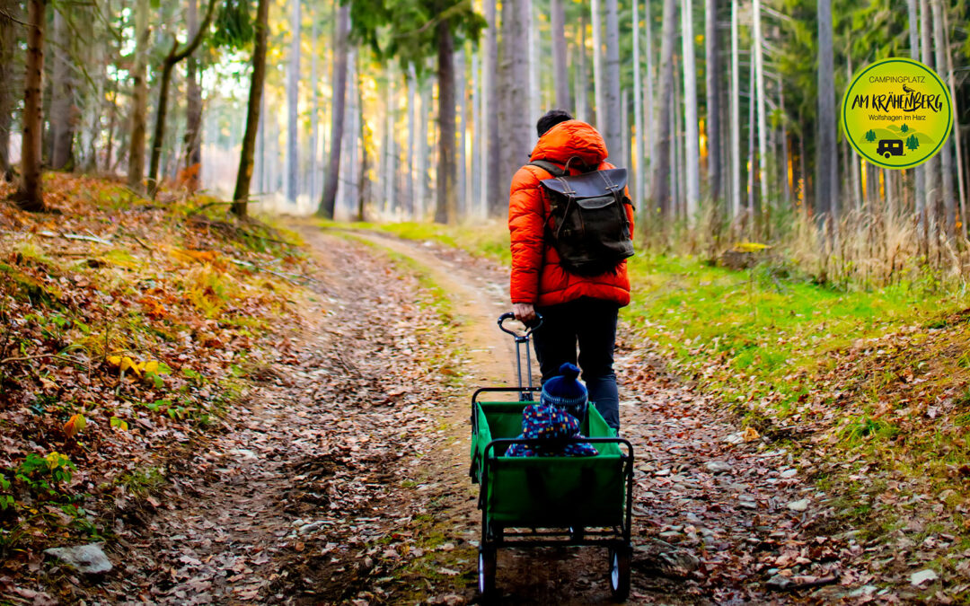 Vatertag ist ein Fest für alle – Grillen, Bier und Bollerwagen im Harz