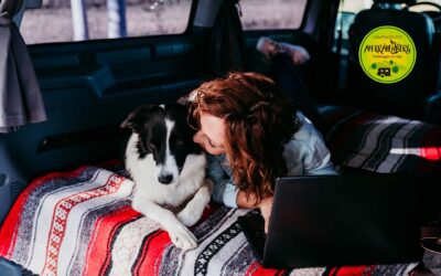 🔥 Super Sonderangebot – Camping zum Schnäppchenpreis! 🔥