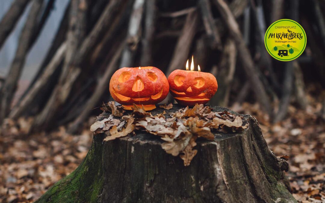 🎃 Halloween Camping? Null Problemo!