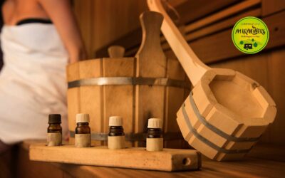 🌿 Januar & Februar am Krähenberg – Frisch, frei & voller Vorsätze